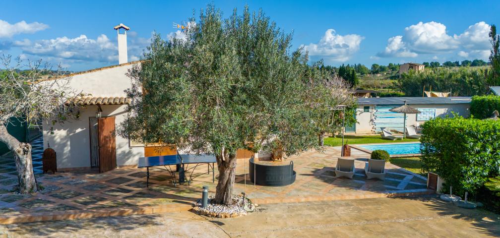 Finca Es Collet de Manacor