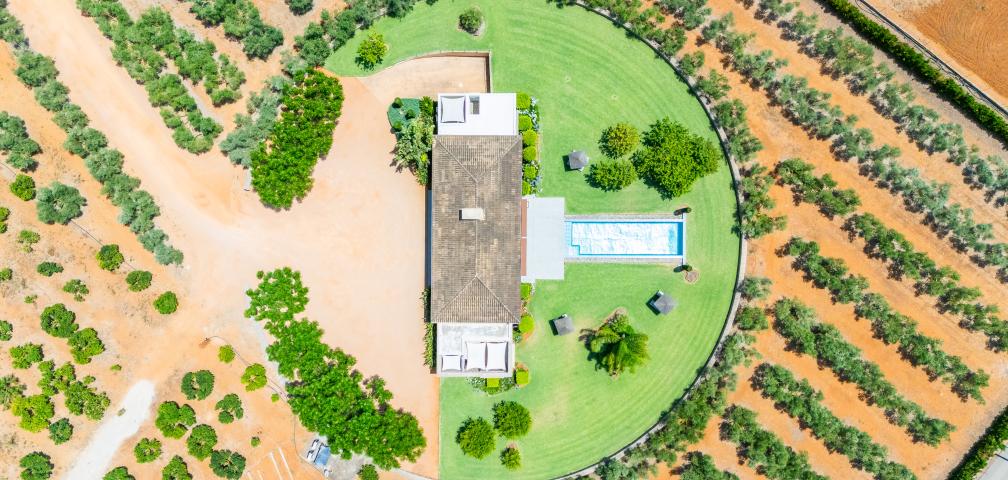 Finca S'Hort de Can Rius