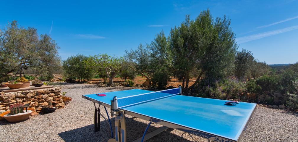 Finca Sa Vinya des Compte