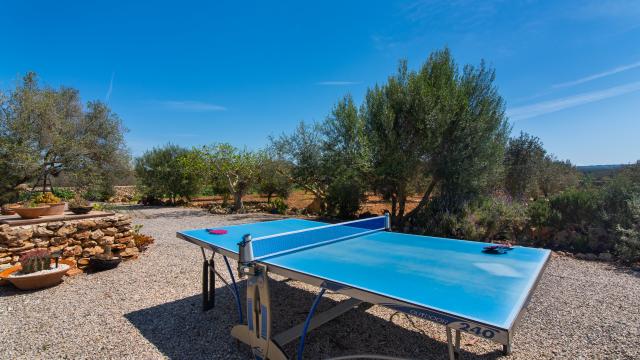 Finca Sa Vinya des Compte