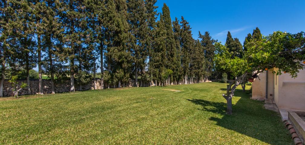 Finca Sa Vinya des Compte