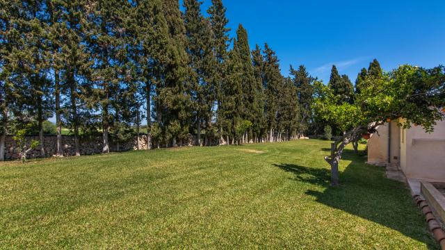 Finca Sa Vinya des Compte