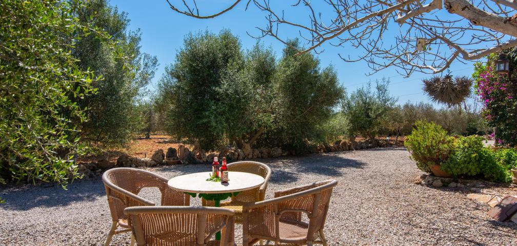 Finca Sa Vinya des Compte