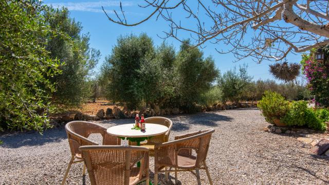 Finca Sa Vinya des Compte