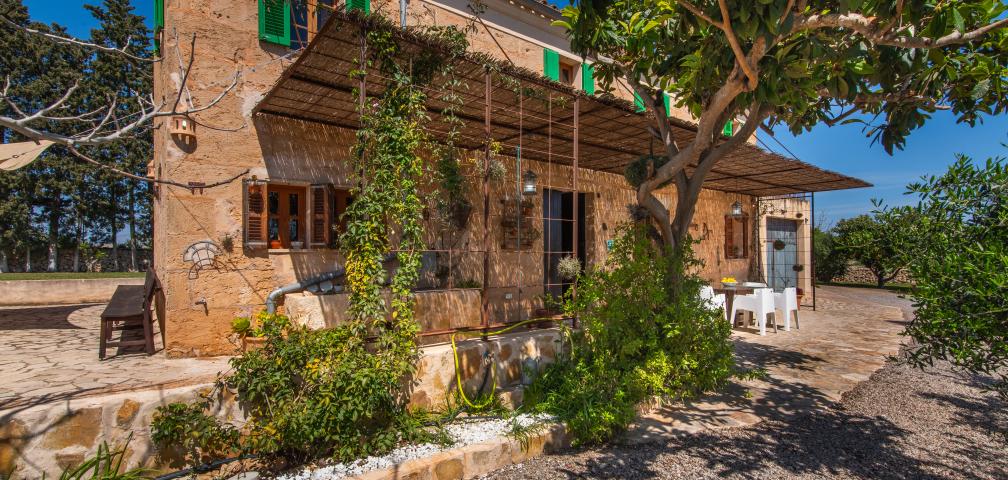 Finca Sa Vinya des Compte