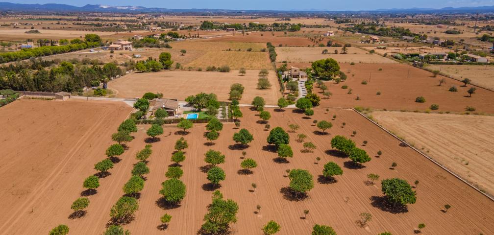 Finca Marina des Trenc