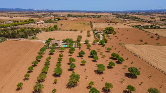 Finca Marina des Trenc