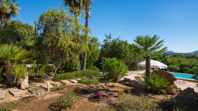 Finca El Palo