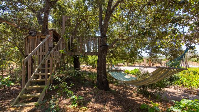 Finca Els Nou Cortons