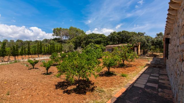 Finca Els Nou Cortons