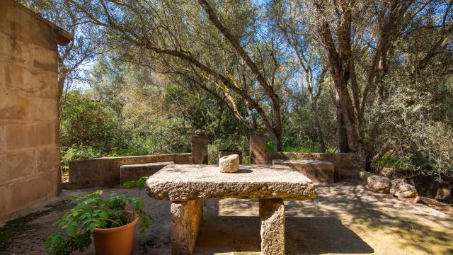 Finca Son Delabau Gran