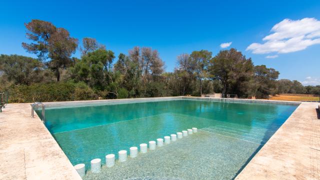 Finca Pleta de Son Delabau