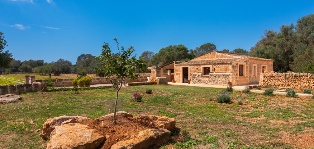 Finca Pleta de Son Delabau