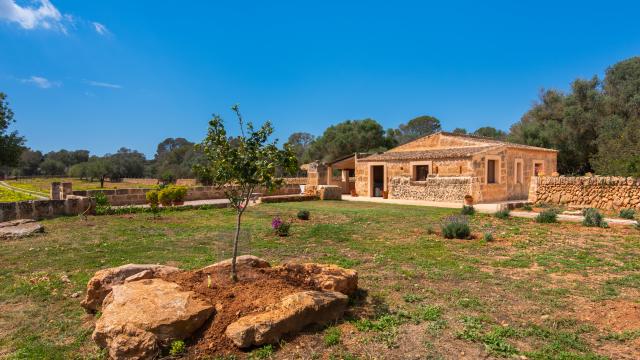 Finca Pleta de Son Delabau