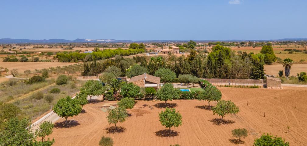 Finca Marineta des Trenc