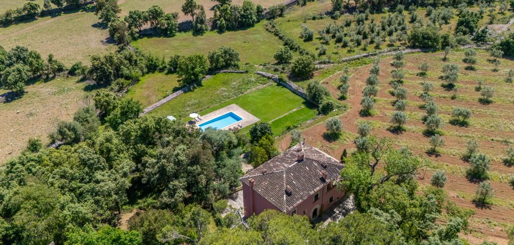 Finca Son Perot