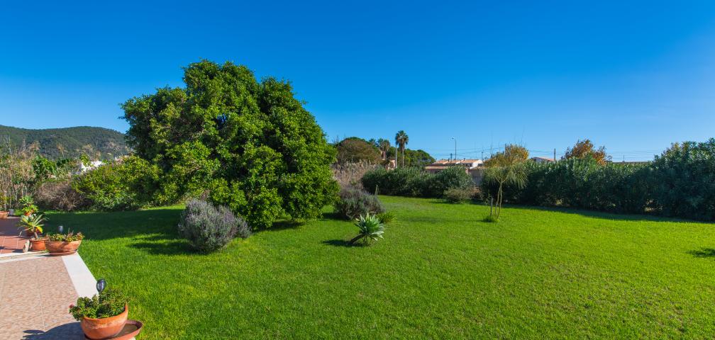 Finca Sa Plana de Baix