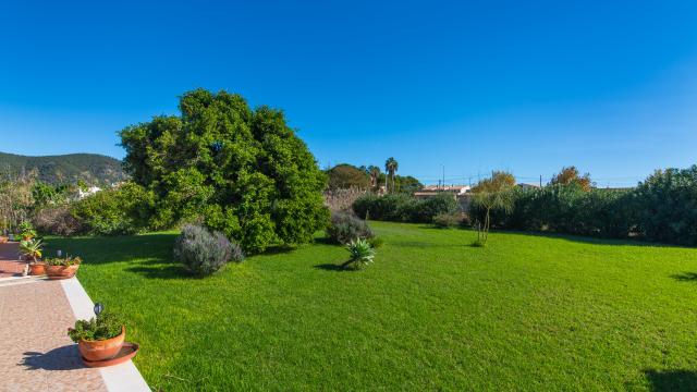 Finca Sa Plana de Baix