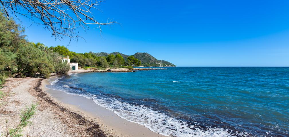 Finca Sa Plana de Baix