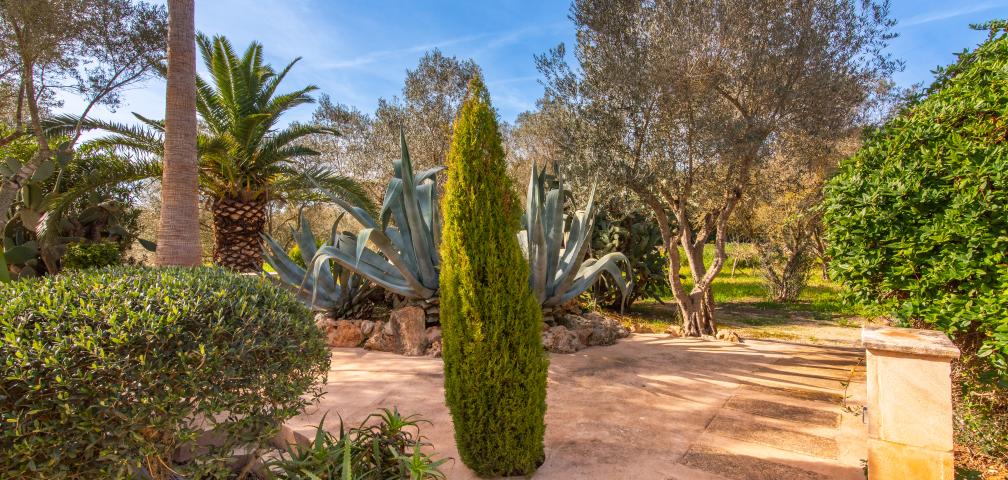 Finca-Appartment Redonda 1