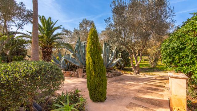 Finca-Appartment Redonda 1