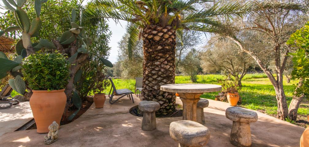 Finca-Appartment Redonda 1