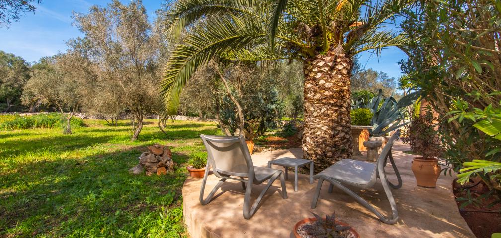 Finca-Appartment Redonda 1