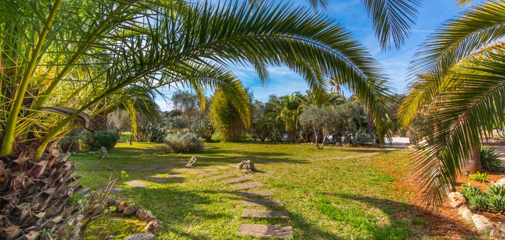 Finca-Appartment Redonda 1