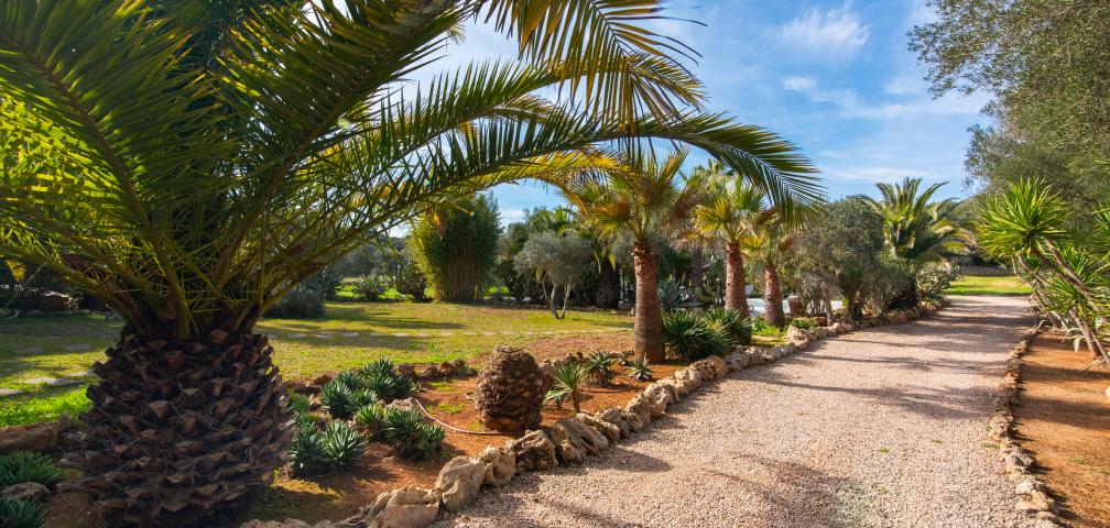 Finca-Appartment Redonda 2