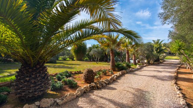 Finca-Appartment Redonda 2