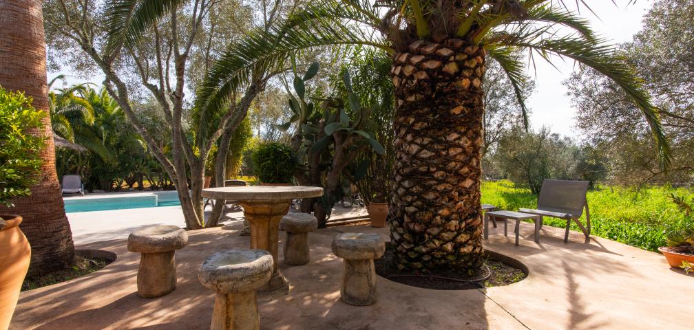 Finca-Appartment Redonda 2