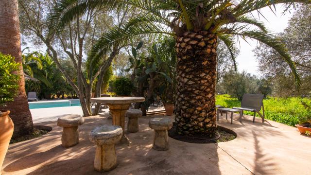 Finca-Appartment Redonda 2