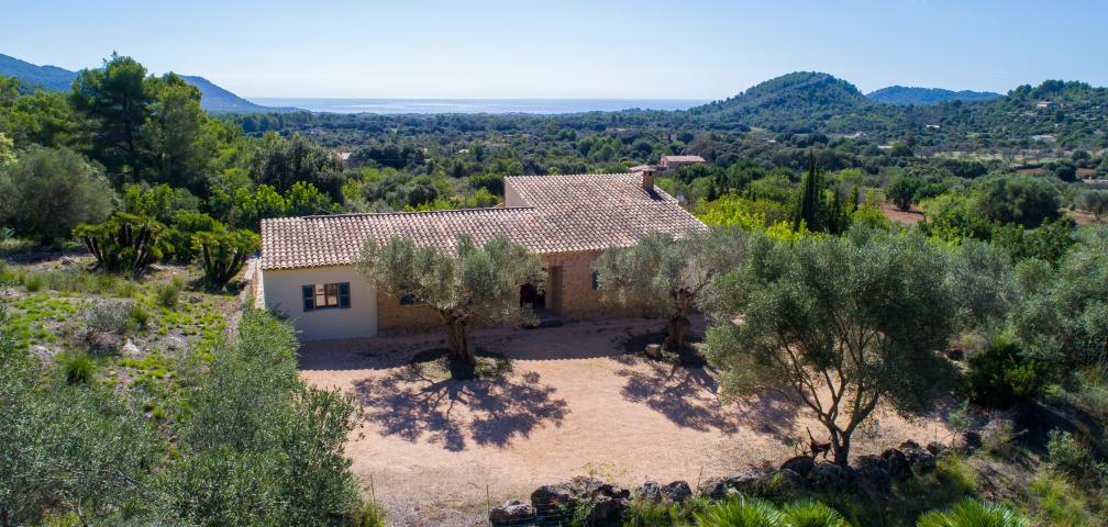 Finca Es Coster