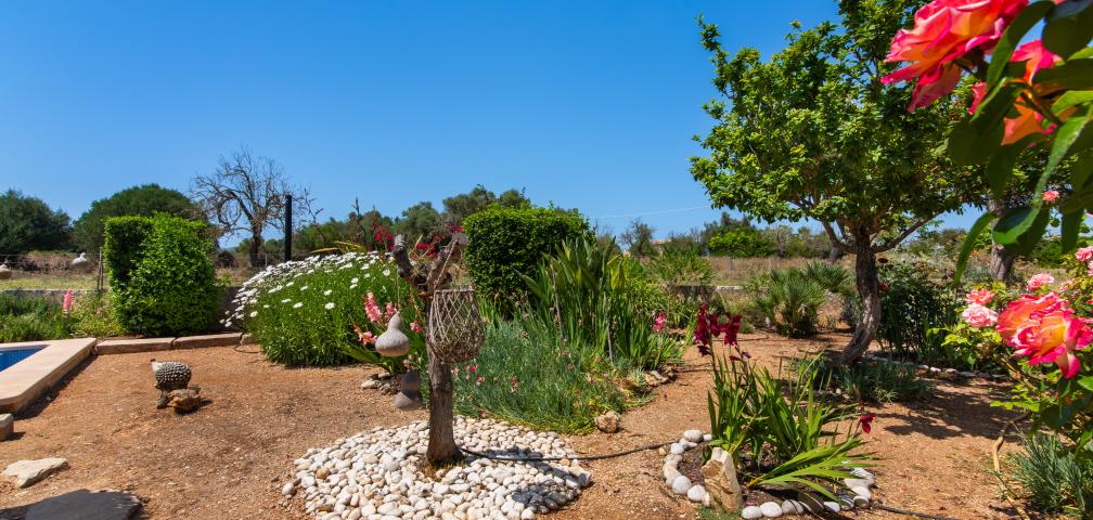 Finca Sa Granja d'es padrí