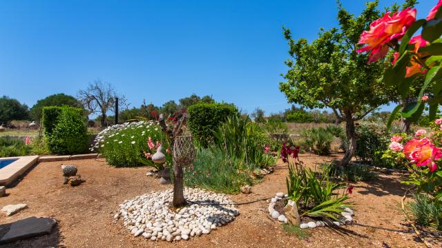 Finca Sa Granja d'es padrí