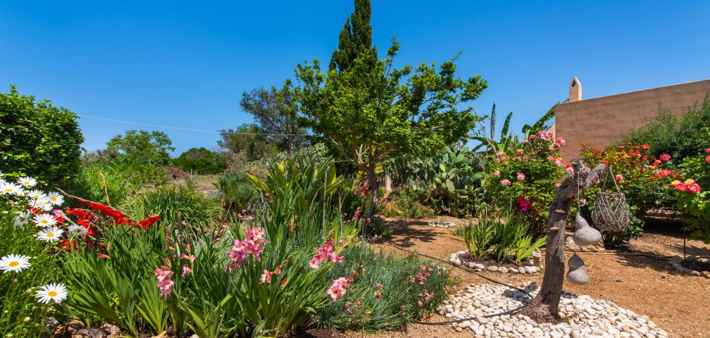 Finca Sa Granja d'es padrí