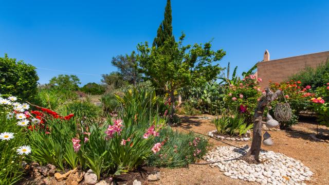 Finca Sa Granja d'es padrí