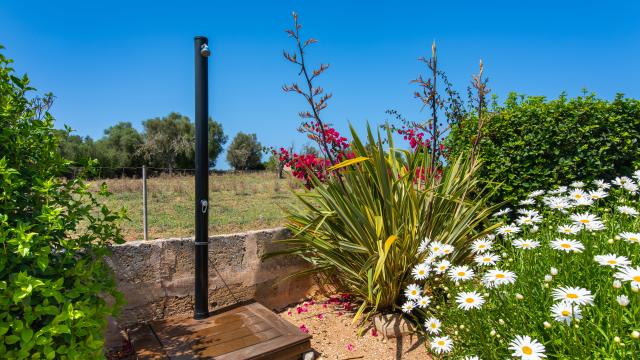 Finca Sa Granja d'es padrí