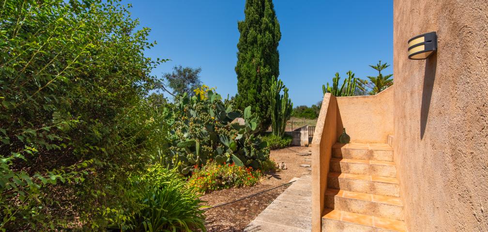 Finca Sa Granja d'es padrí