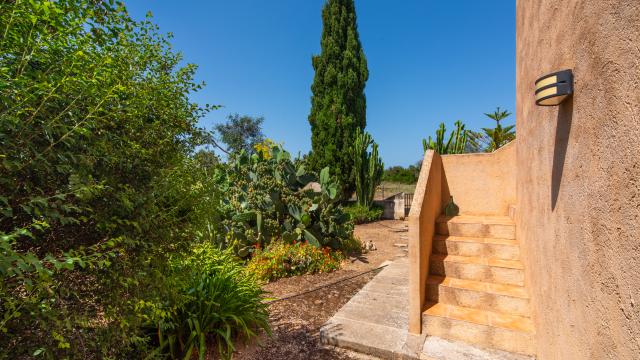 Finca Sa Granja d'es padrí