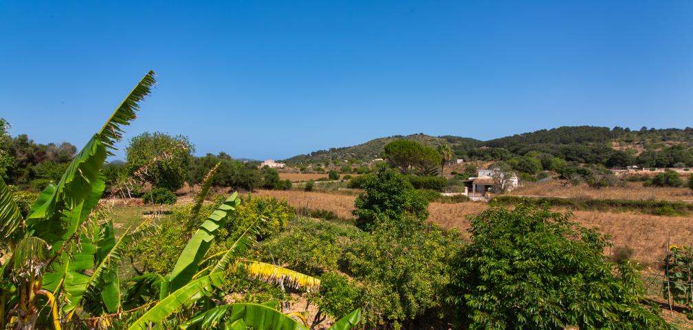 Finca Sa Granja d'es padrí