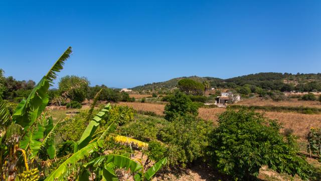 Finca Sa Granja d'es padrí
