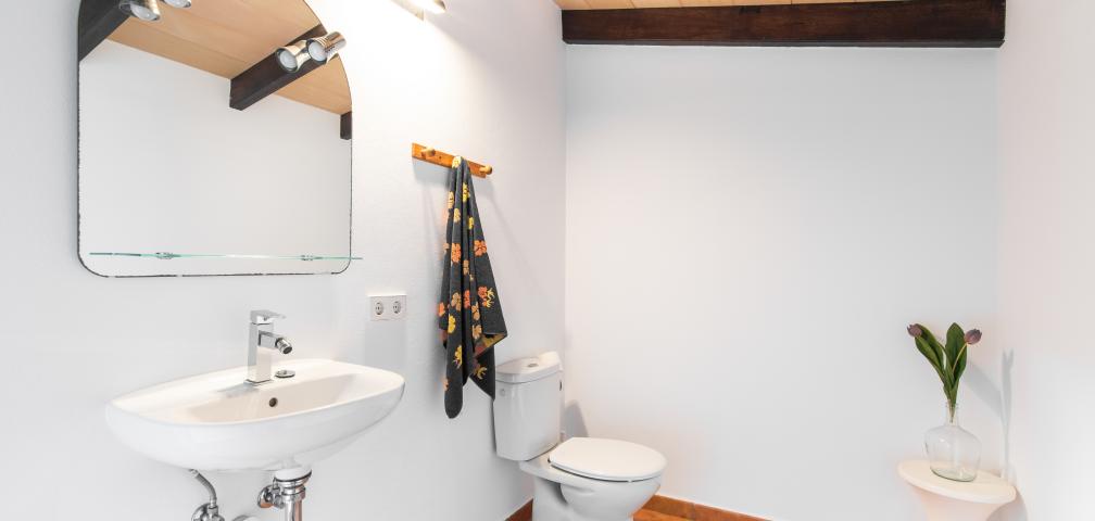 Finca Sa Granja d'es padrí