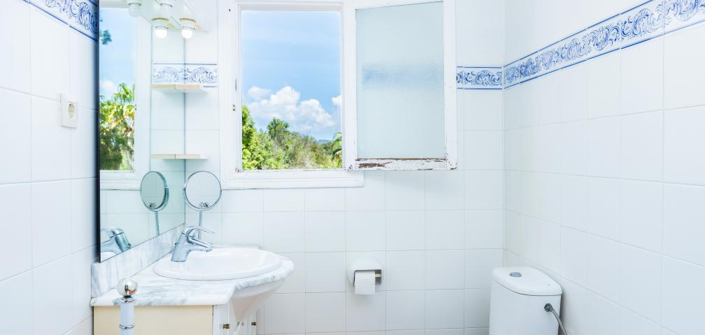 Finca Ses Cases de Son Isidros