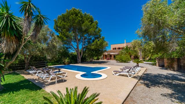 Finca S'Olivar d´es Coscois