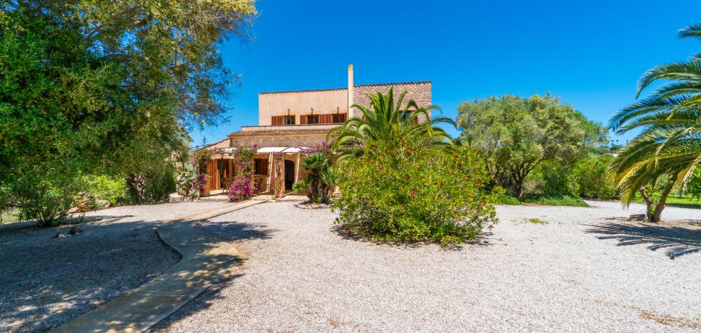 Finca S'Olivar d´es Coscois