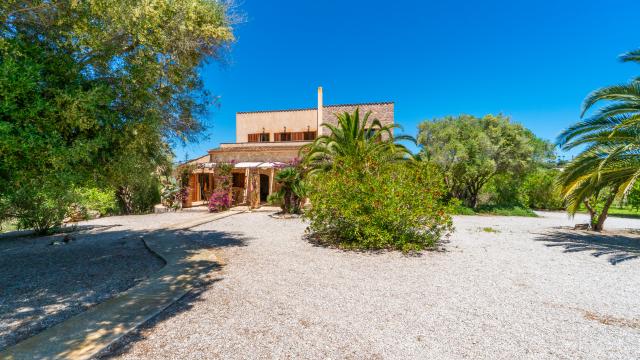 Finca S'Olivar d´es Coscois