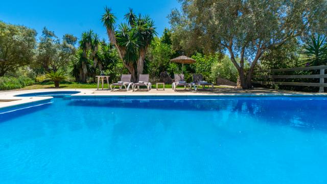 Finca S'Olivar d´es Coscois