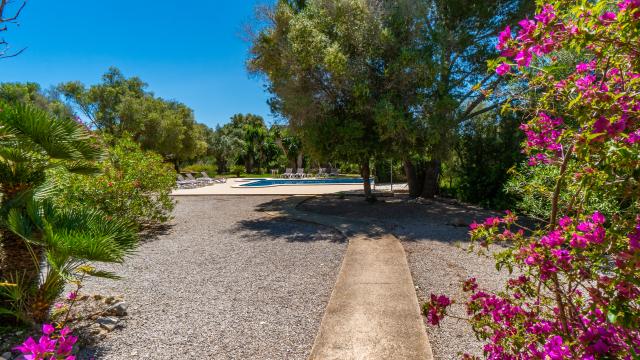 Finca S'Olivar d´es Coscois