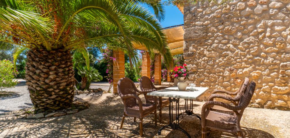 S'Olivar d´es Coscois